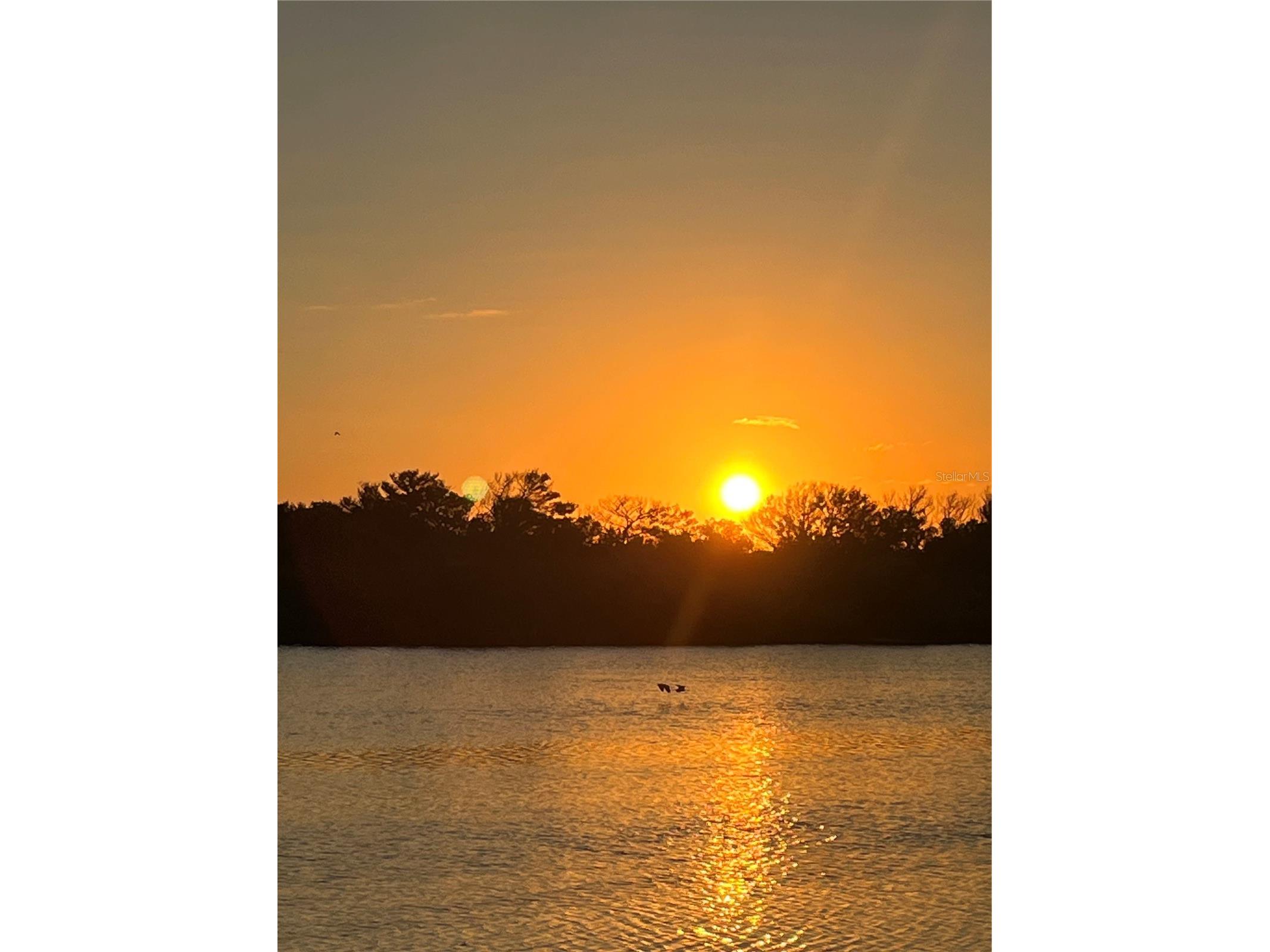 407 Palm Drive Flagler Beach FL 32136 - MATANZAS RIVER FC316185 image63