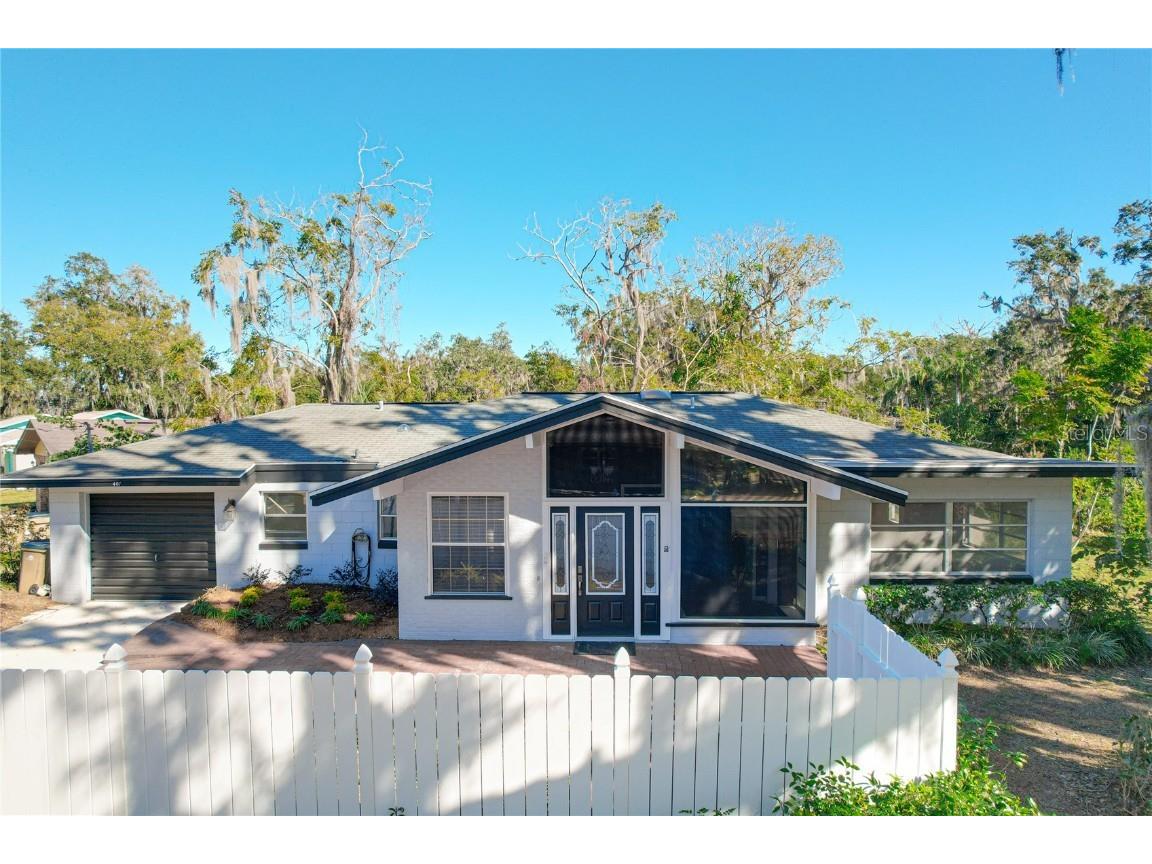 407 Park Lane Eustis FL 32726 - LAKE JOANNA G5091031 image1