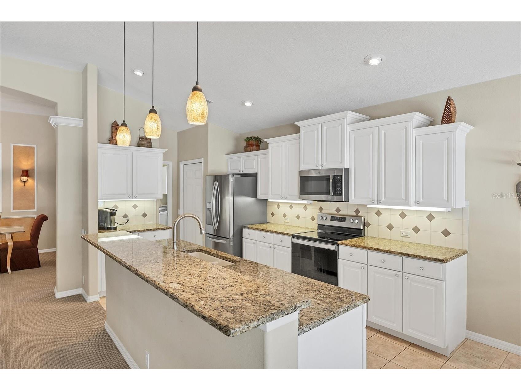 407 Pinewood Lake Drive Venice FL 34285 N6142446 image29