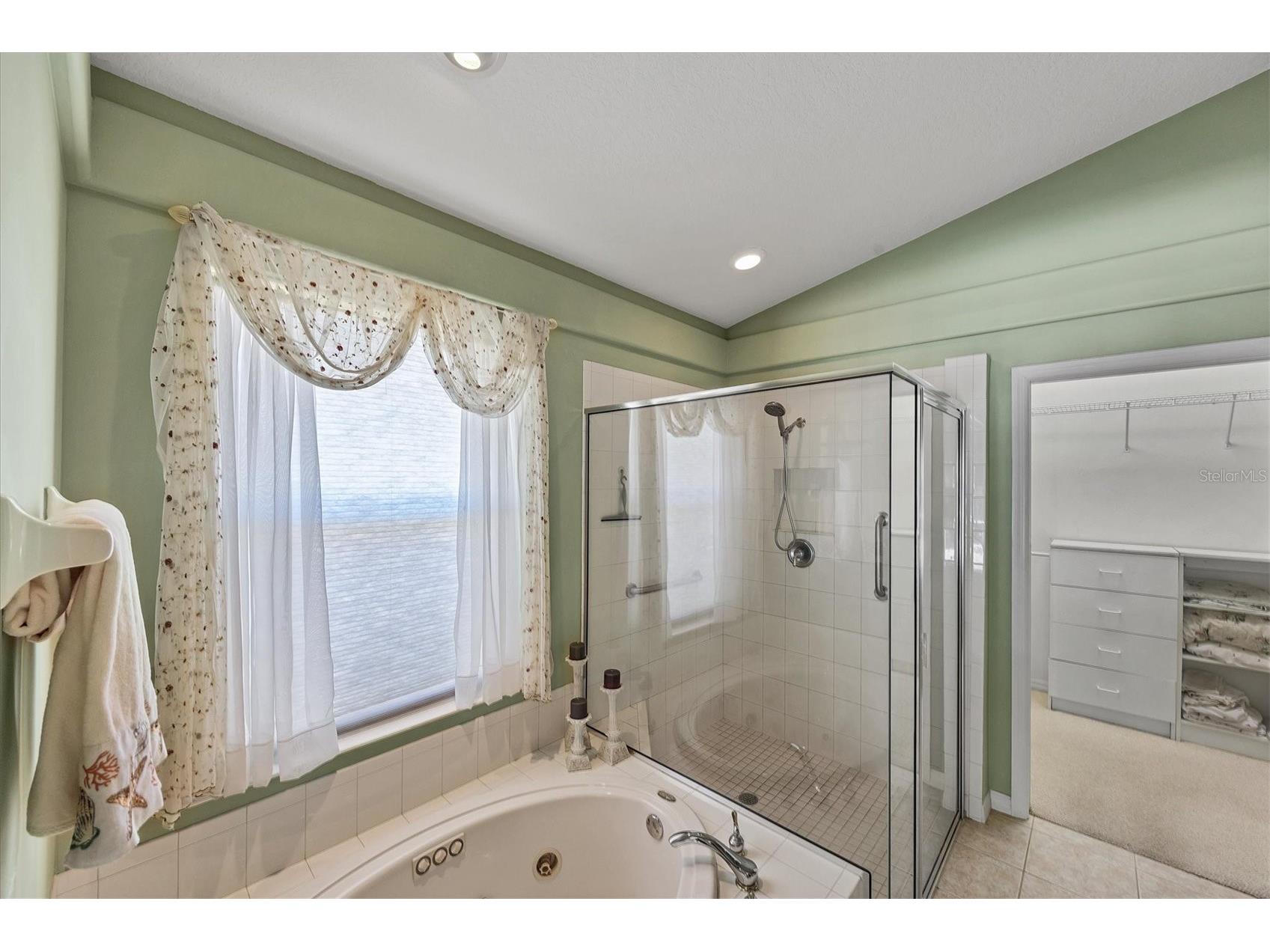 407 Pinewood Lake Drive Venice FL 34285 N6142446 image51