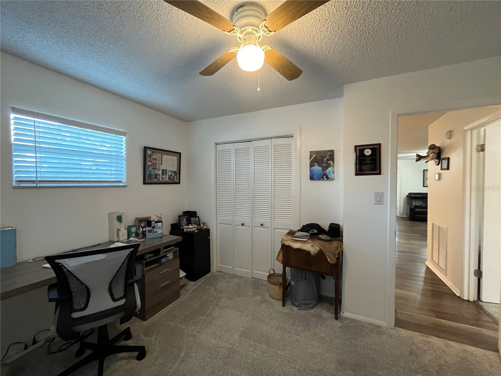 407 Poinsettia Avenue Fruitland Park FL 34731 G5110996 image18