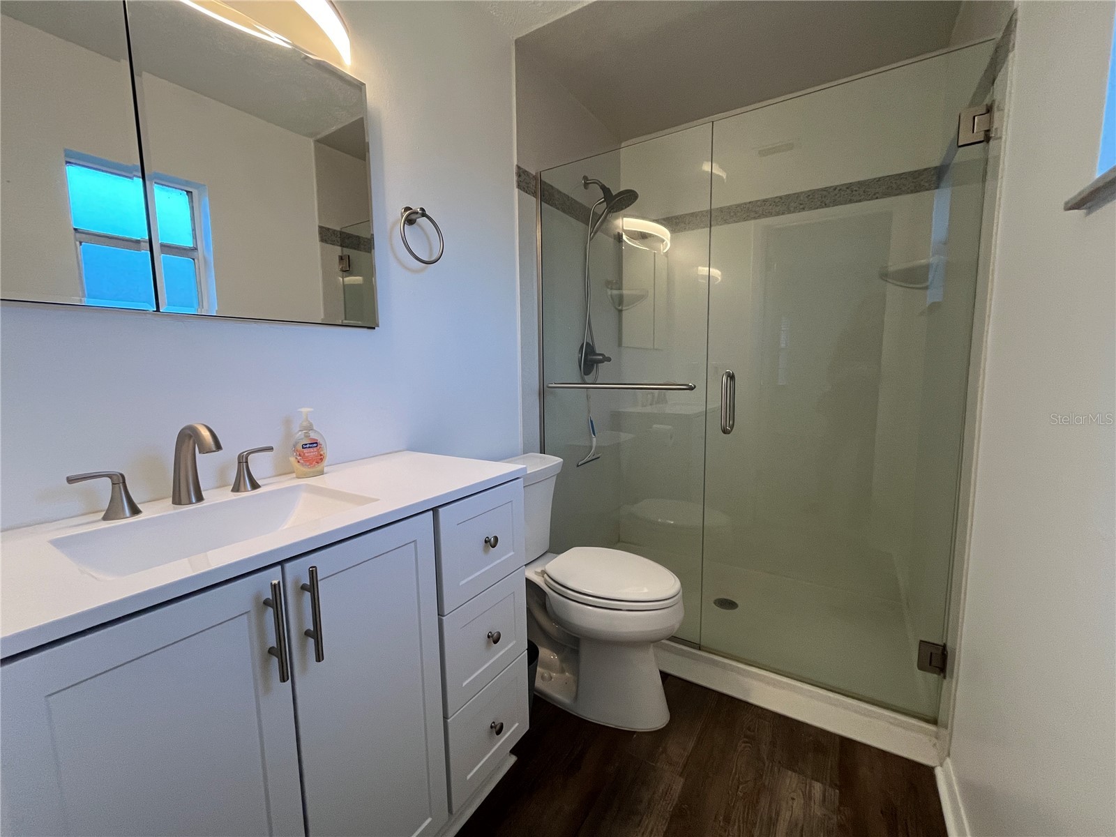 407 Poinsettia Avenue Fruitland Park FL 34731 G5110996 image21