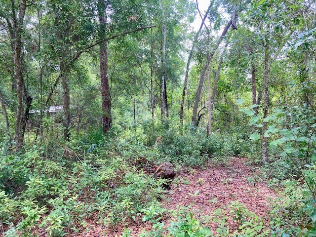 407 Raulerson Road Seville FL 32190 V4943280 image1