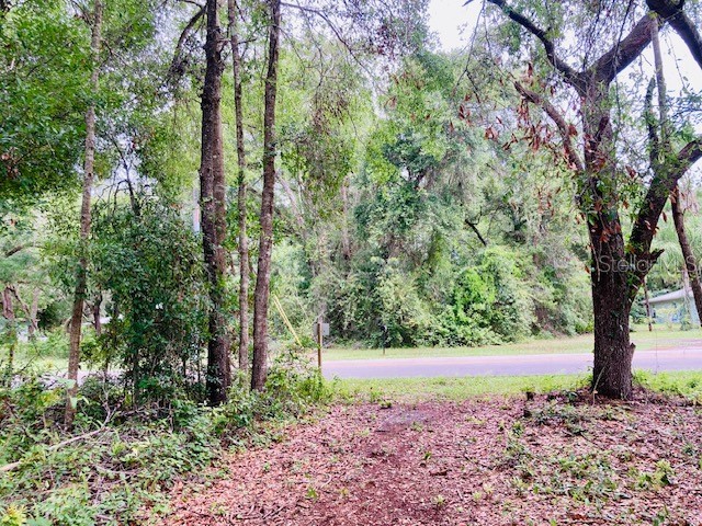 407 Raulerson Road Seville FL 32190 V4943280 image4