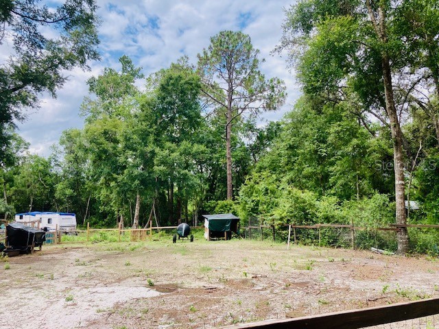 407 Raulerson Road Seville FL 32190 V4943280 image5