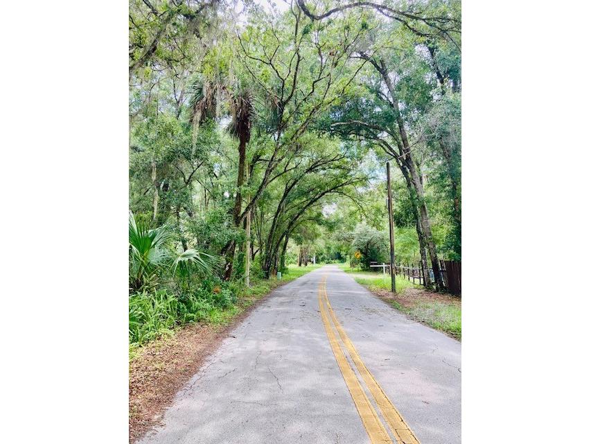 407 Raulerson Road Seville FL 32190 V4943280 image6