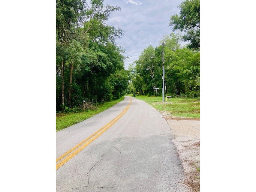 407 Raulerson Road Seville FL 32190 V4943280 image7