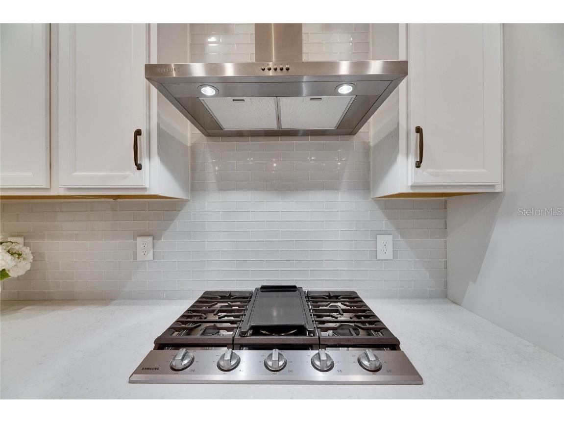 407 Sandsend Court Apollo Beach FL 33572 TB8358655 image24