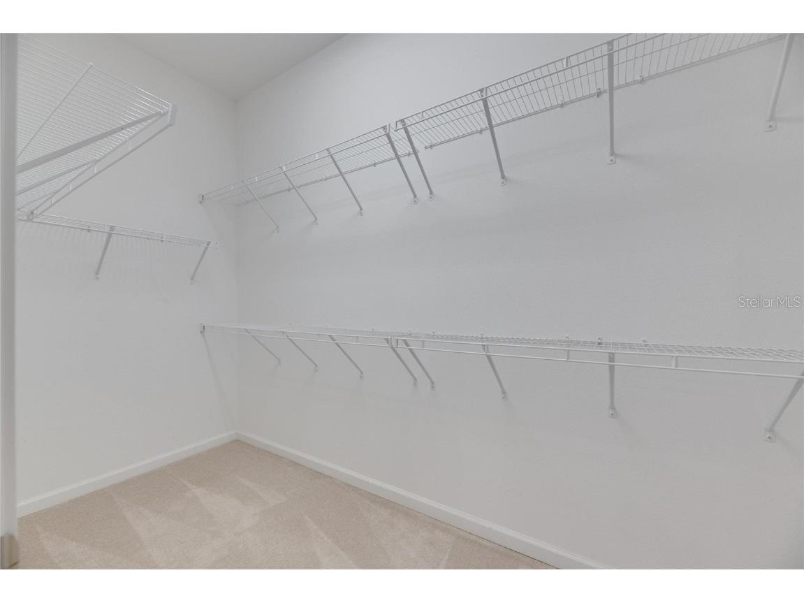 407 Sandsend Court Apollo Beach FL 33572 TB8358655 image45