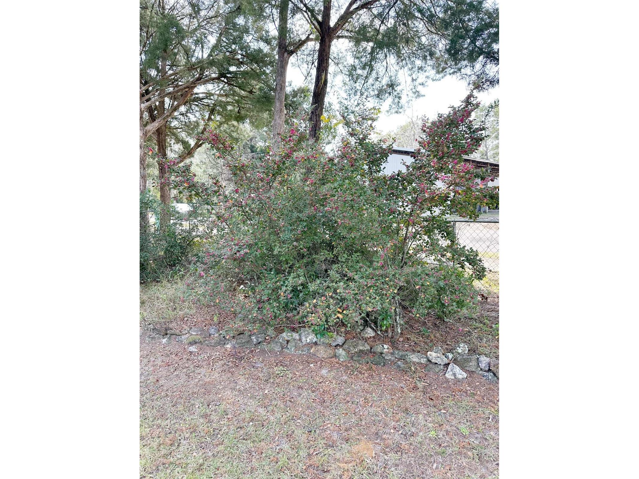 407 SE 4th Street Williston FL 32696 GC536812 image21