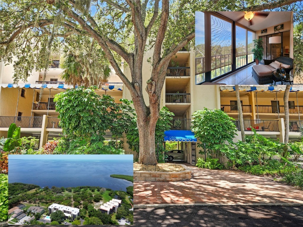 407 Tarpon Point #407 Tarpon Springs FL 34689 - THE GULF OF MEXICO TB8329866 image1