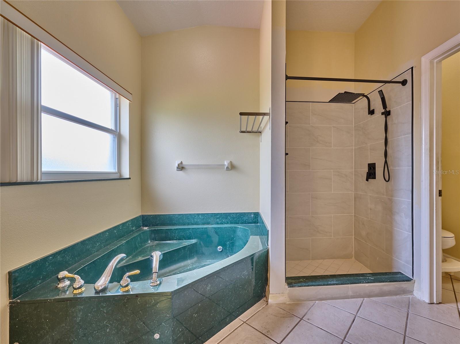 407 Thunder Gulch Court Orlando FL 32824 C7526544 image69