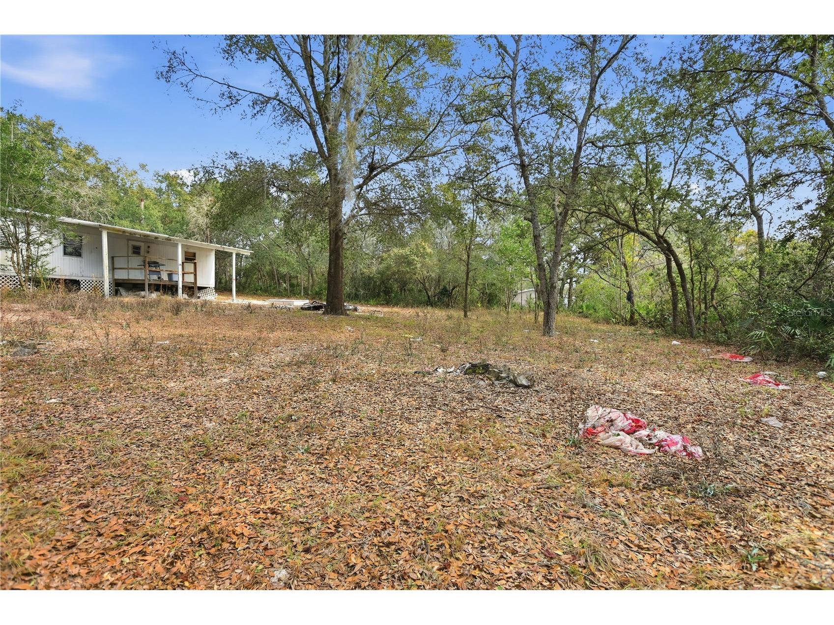 40707 Lois Street Eustis FL 32736 V4947362 image1