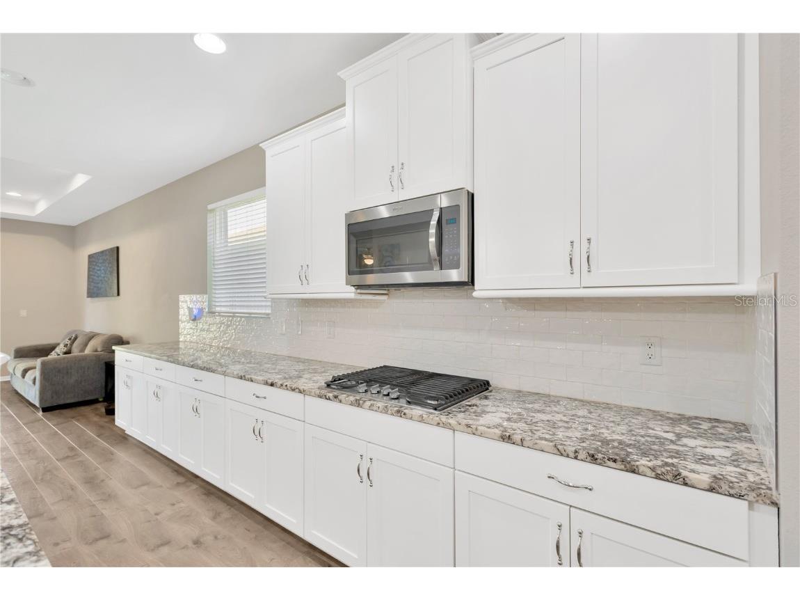 4071 Balcony Breeze Drive Land O Lakes FL 34638 TB8350045 image6