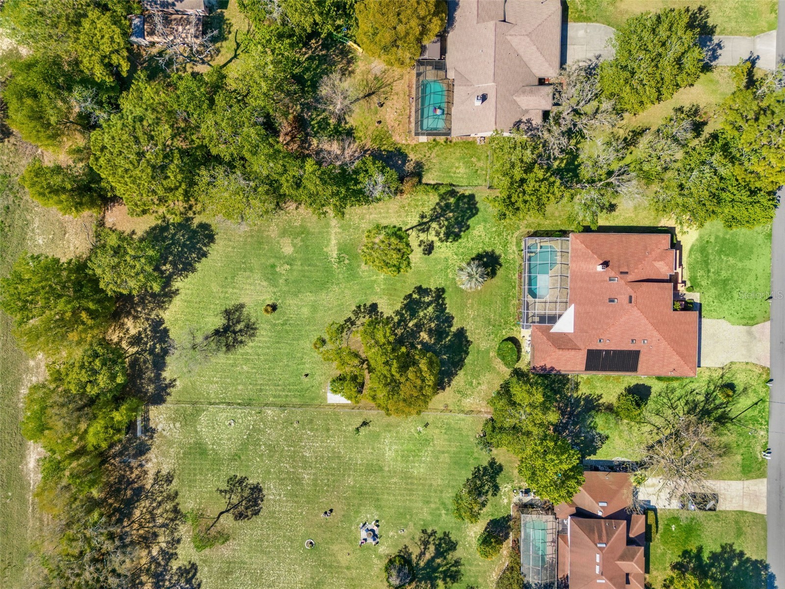 4071 Black Oak Trail Brooksville FL 34604 TB8482109 image22