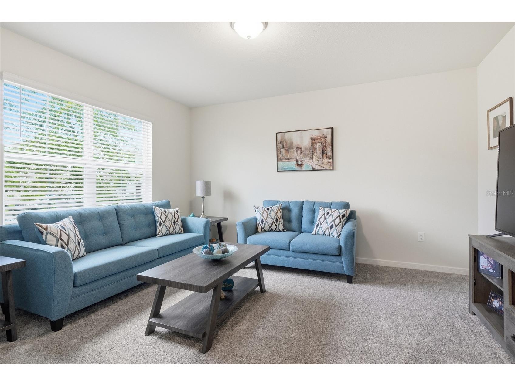4071 Feather Tree Drive Apopka FL 32712 G5110794 image6