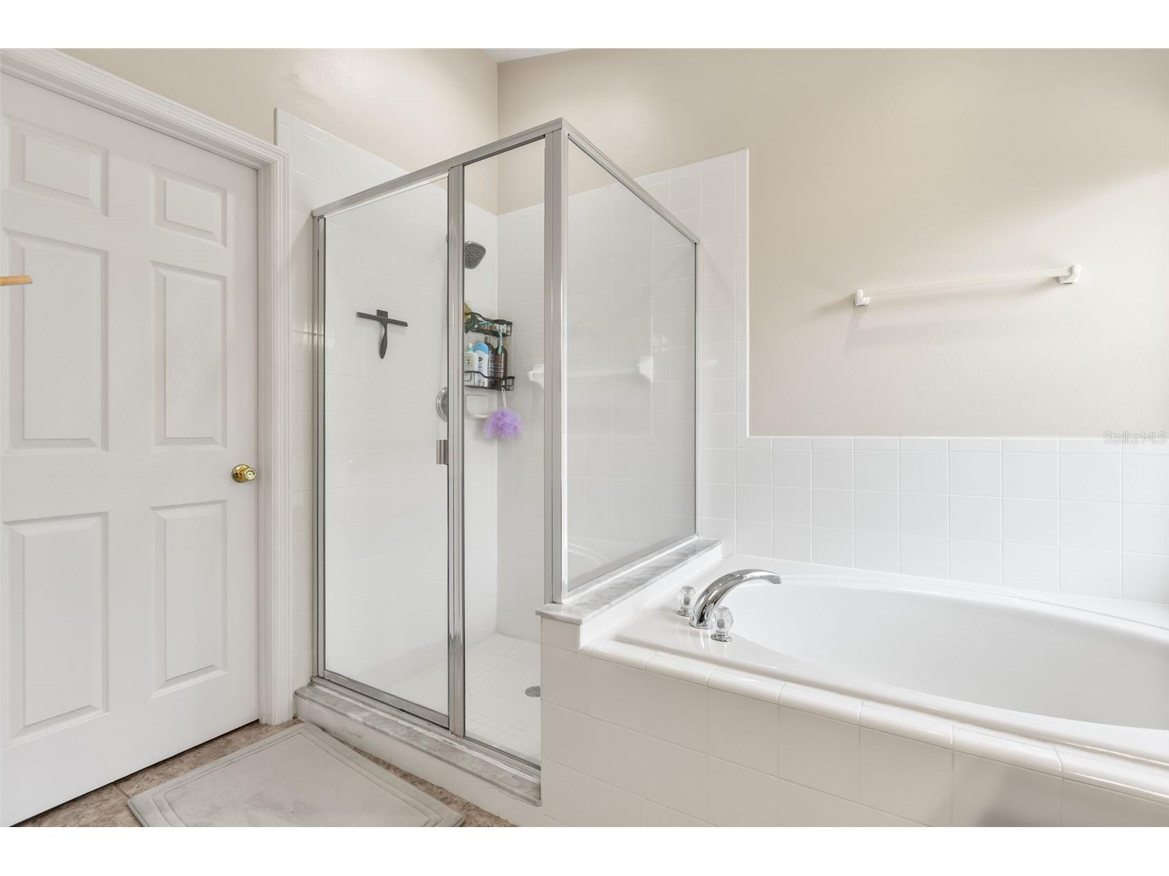 4071 Longworth Loop Kissimmee FL 34744 O6423960 image28