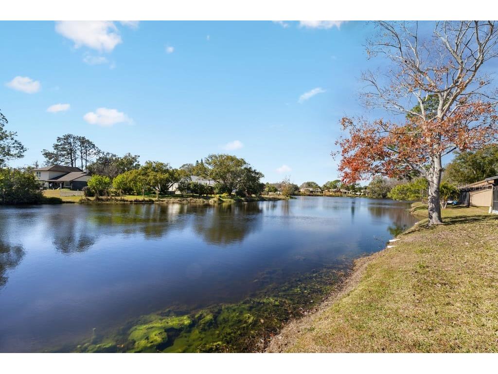 4071 Shoreside Circle Tampa FL 33618 TB8463752 image24