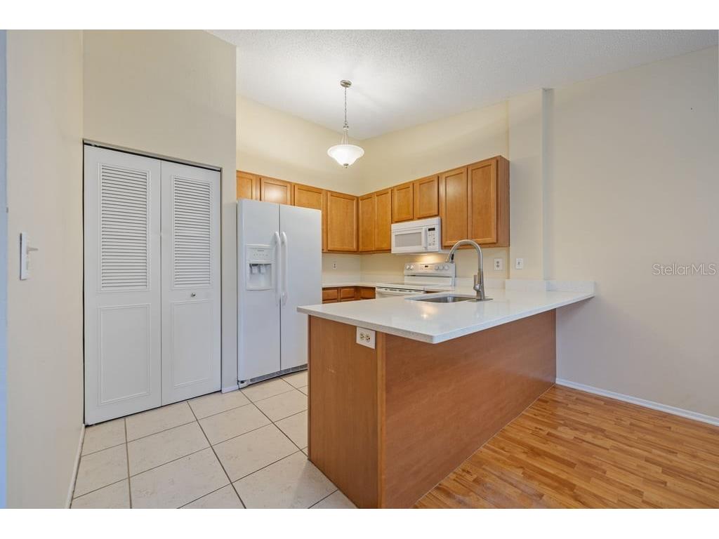 4071 Shoreside Circle Tampa FL 33618 TB8463752 image9