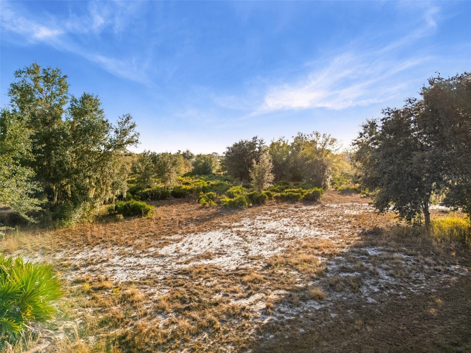 40710 11th Avenue E Myakka City FL 34251 A4680166 image11