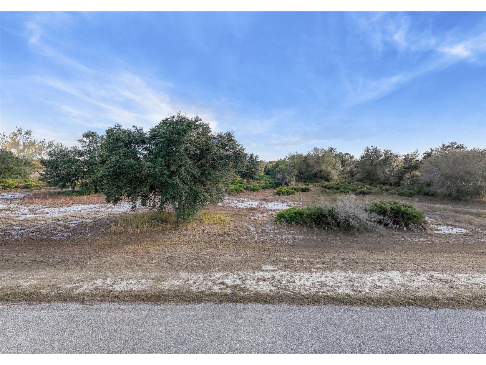 40710 11th Avenue E Myakka City FL 34251 A4680166 image20