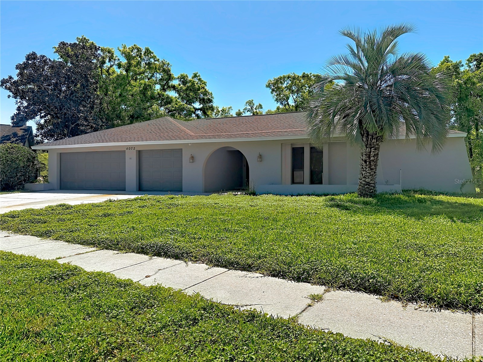 4072 Belmoor Drive Palm Harbor FL 34685 TB8489064 image2