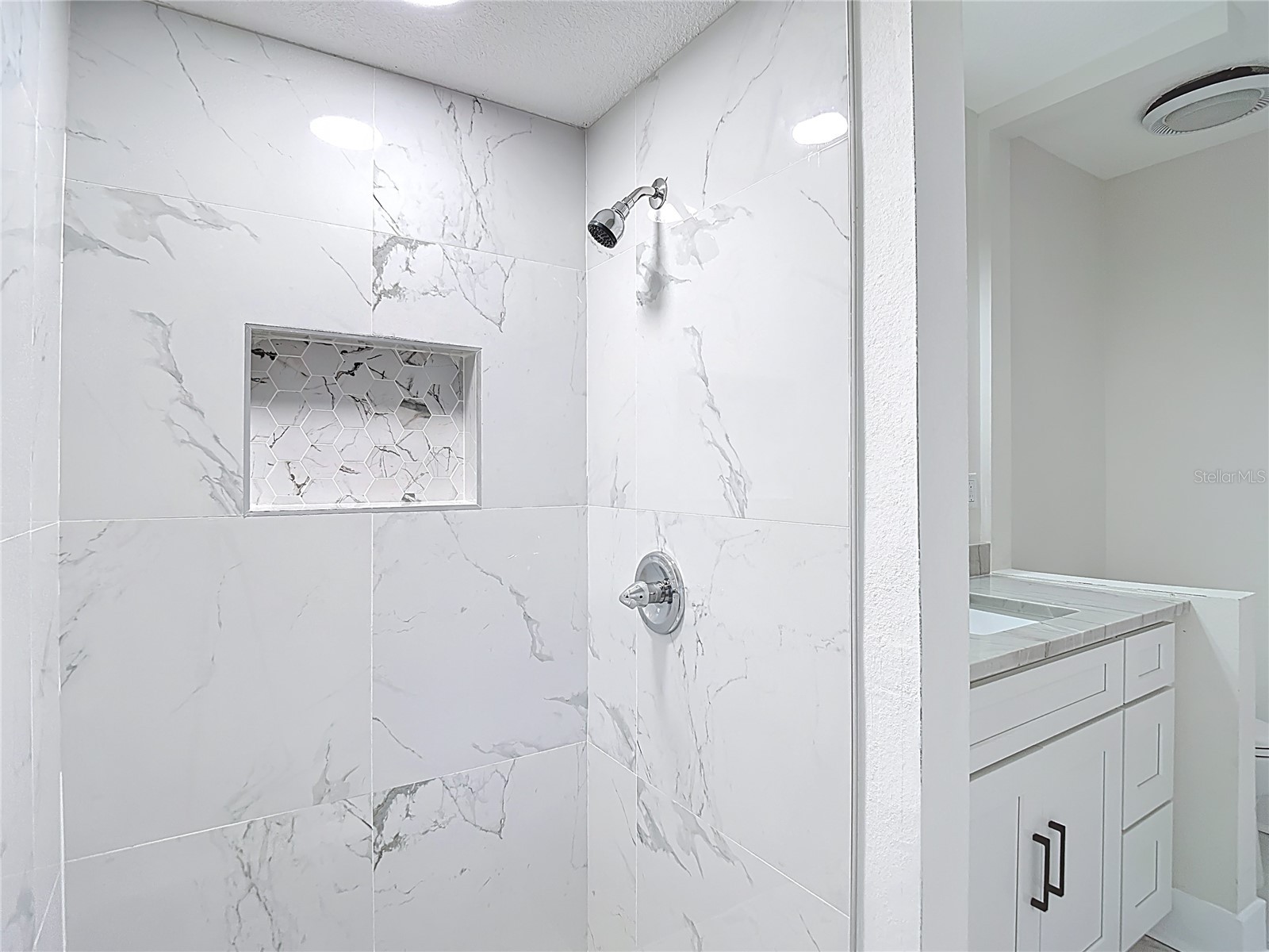 4072 Belmoor Drive Palm Harbor FL 34685 TB8489064 image37