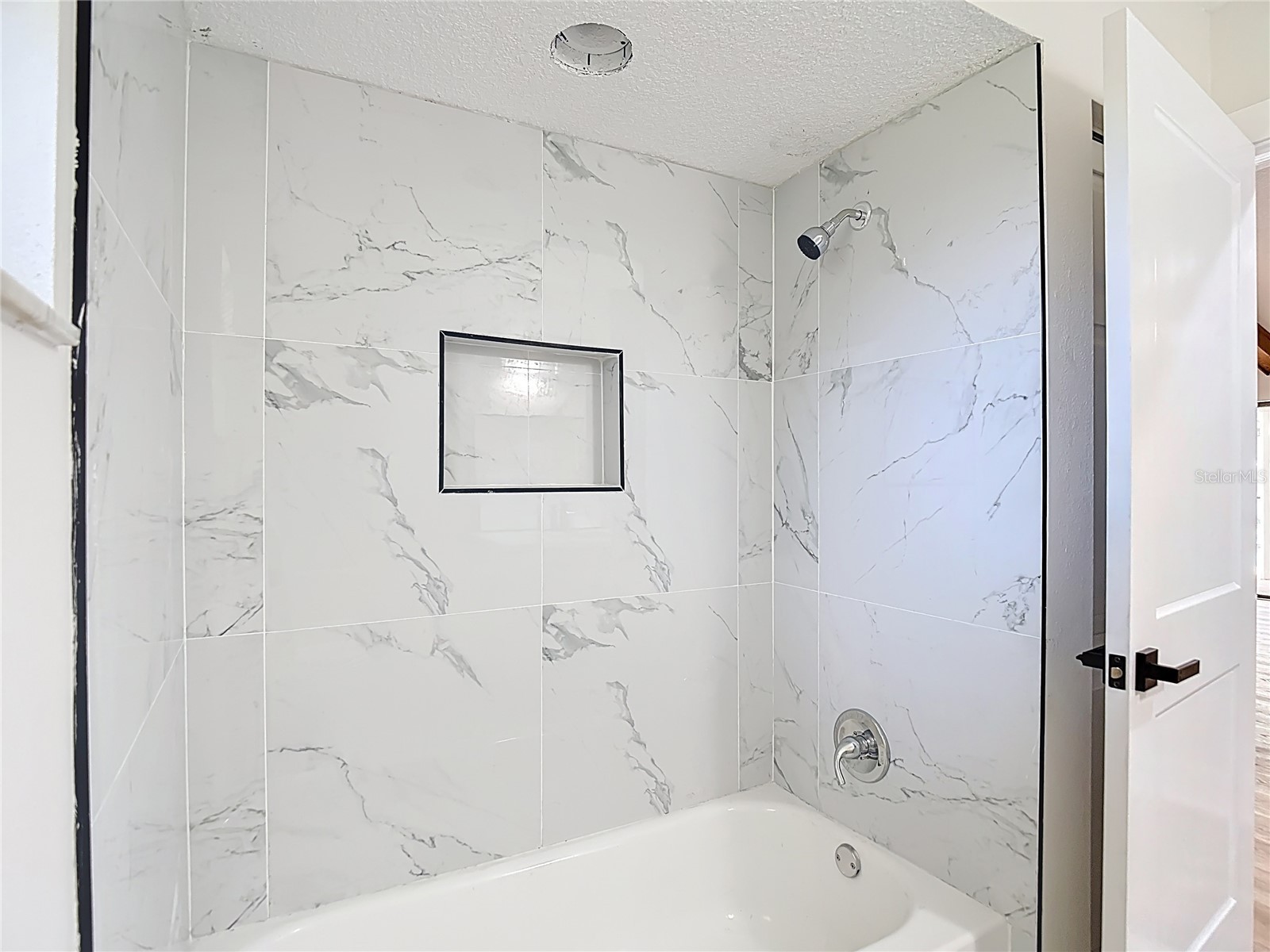 4072 Belmoor Drive Palm Harbor FL 34685 TB8489064 image38
