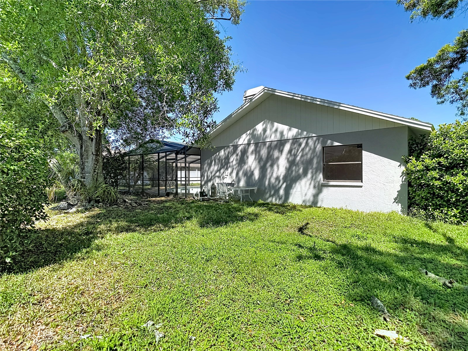 4072 Belmoor Drive Palm Harbor FL 34685 TB8489064 image58