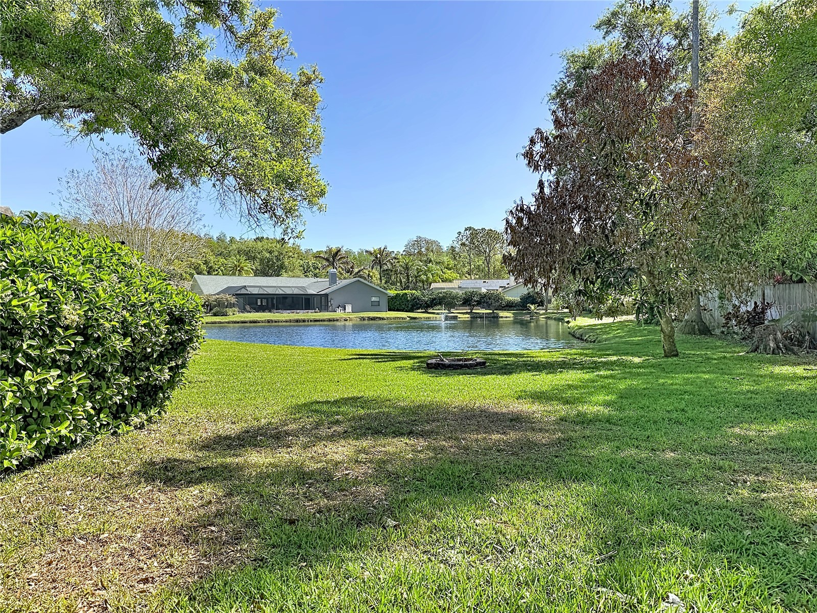 4072 Belmoor Drive Palm Harbor FL 34685 TB8489064 image59