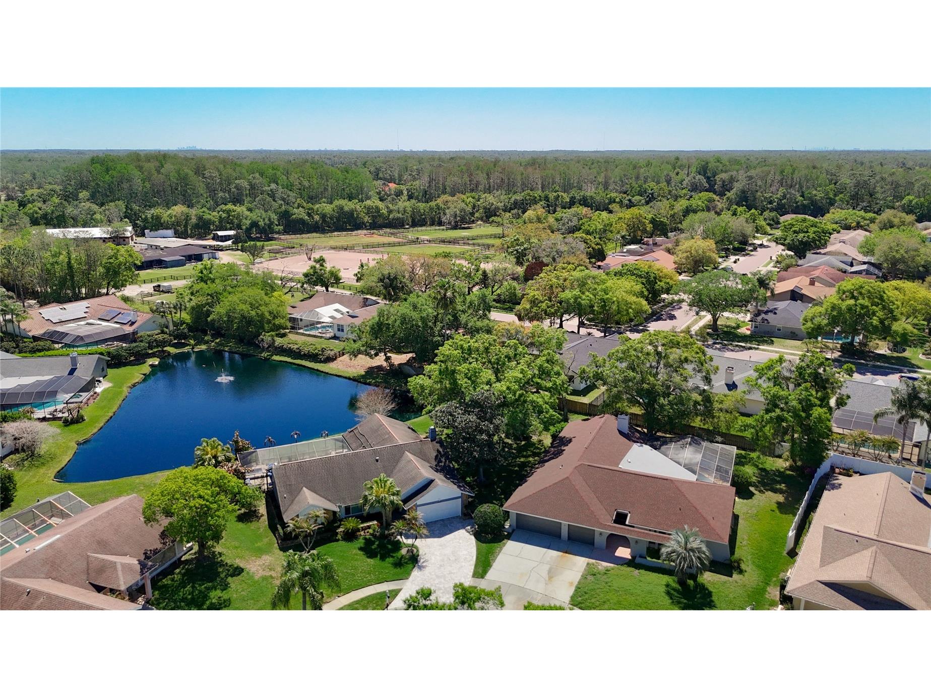 4072 Belmoor Drive Palm Harbor FL 34685 TB8489064 image60