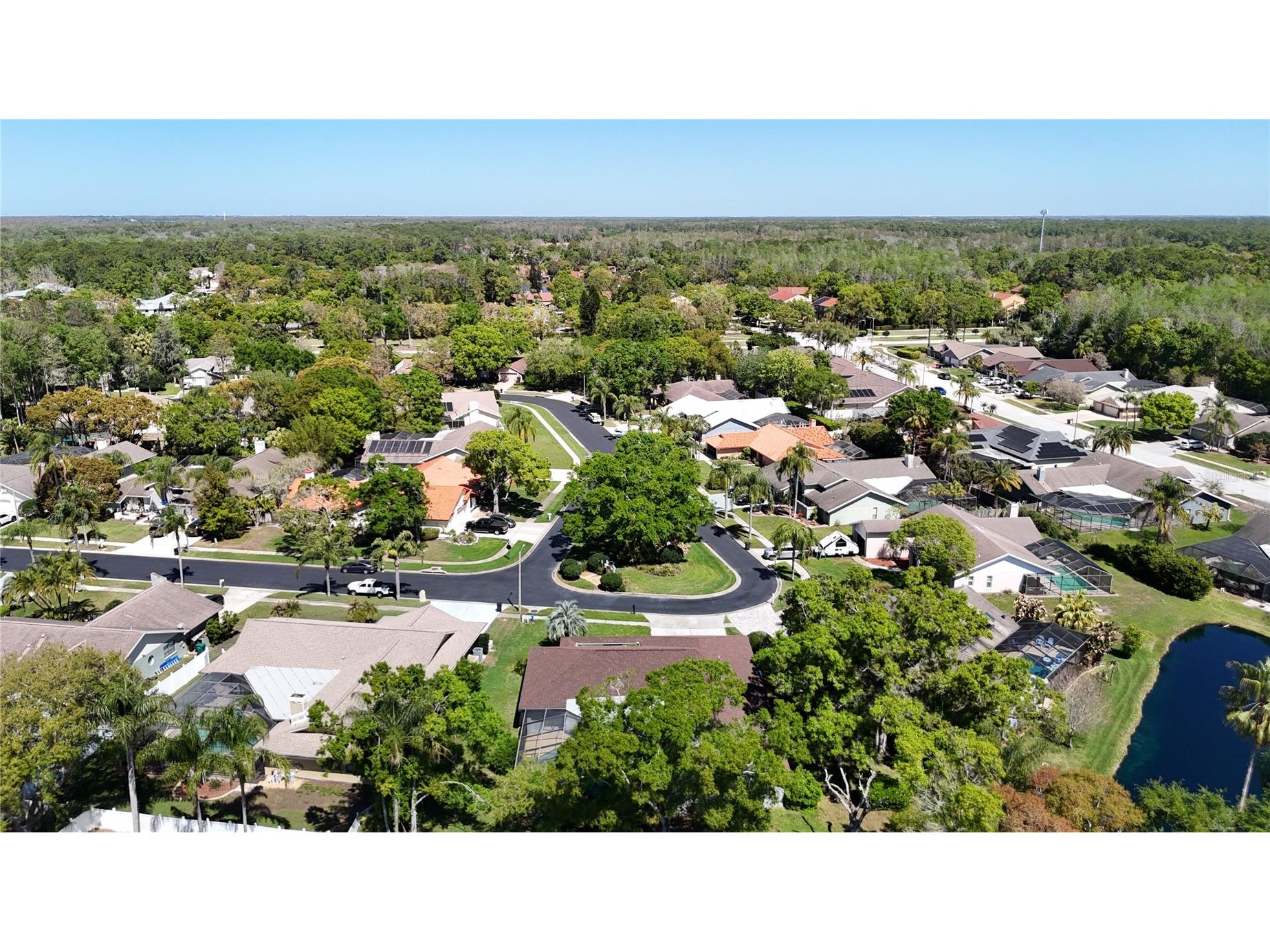 4072 Belmoor Drive Palm Harbor FL 34685 TB8489064 image62