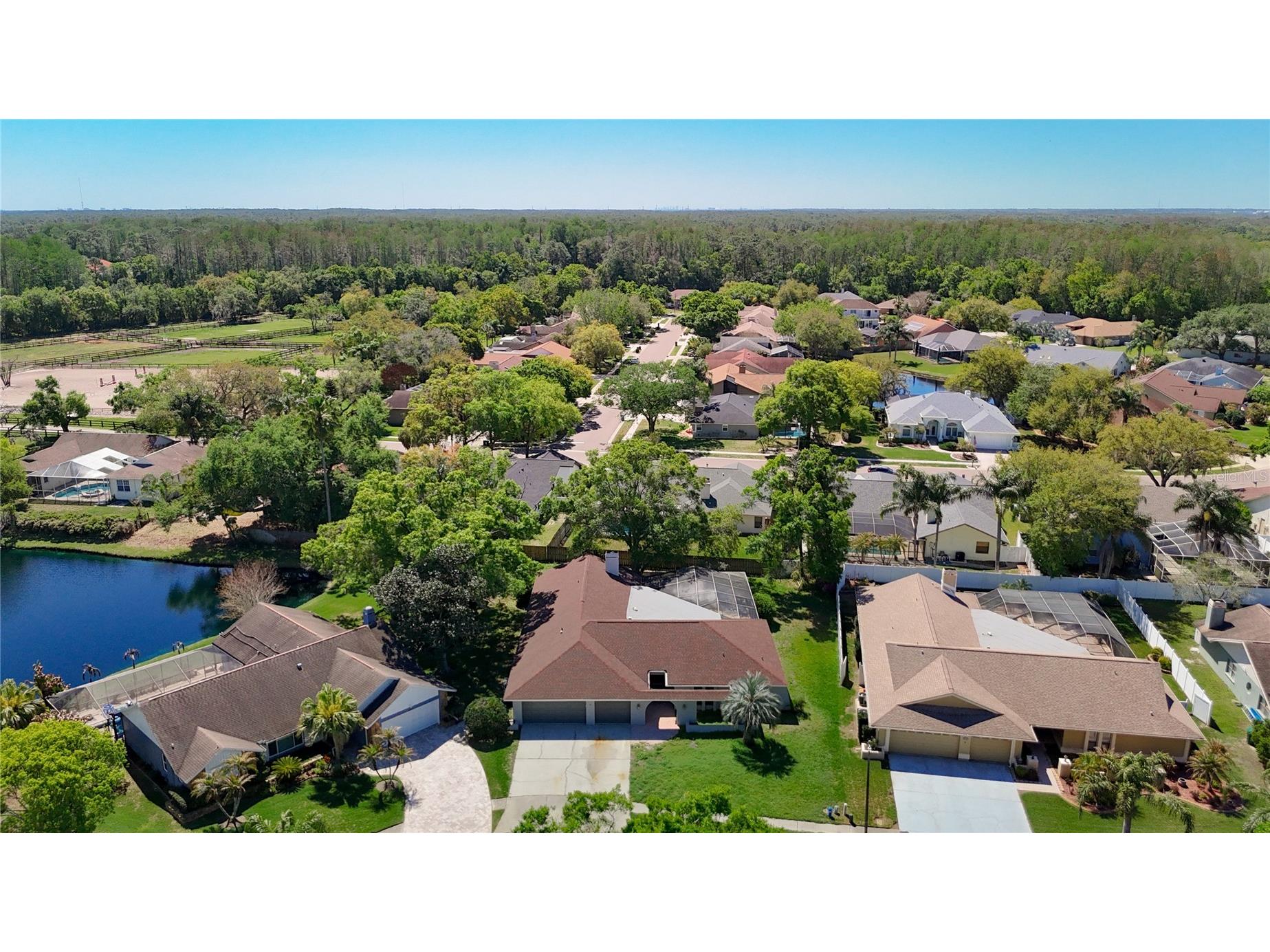 4072 Belmoor Drive Palm Harbor FL 34685 TB8489064 image64