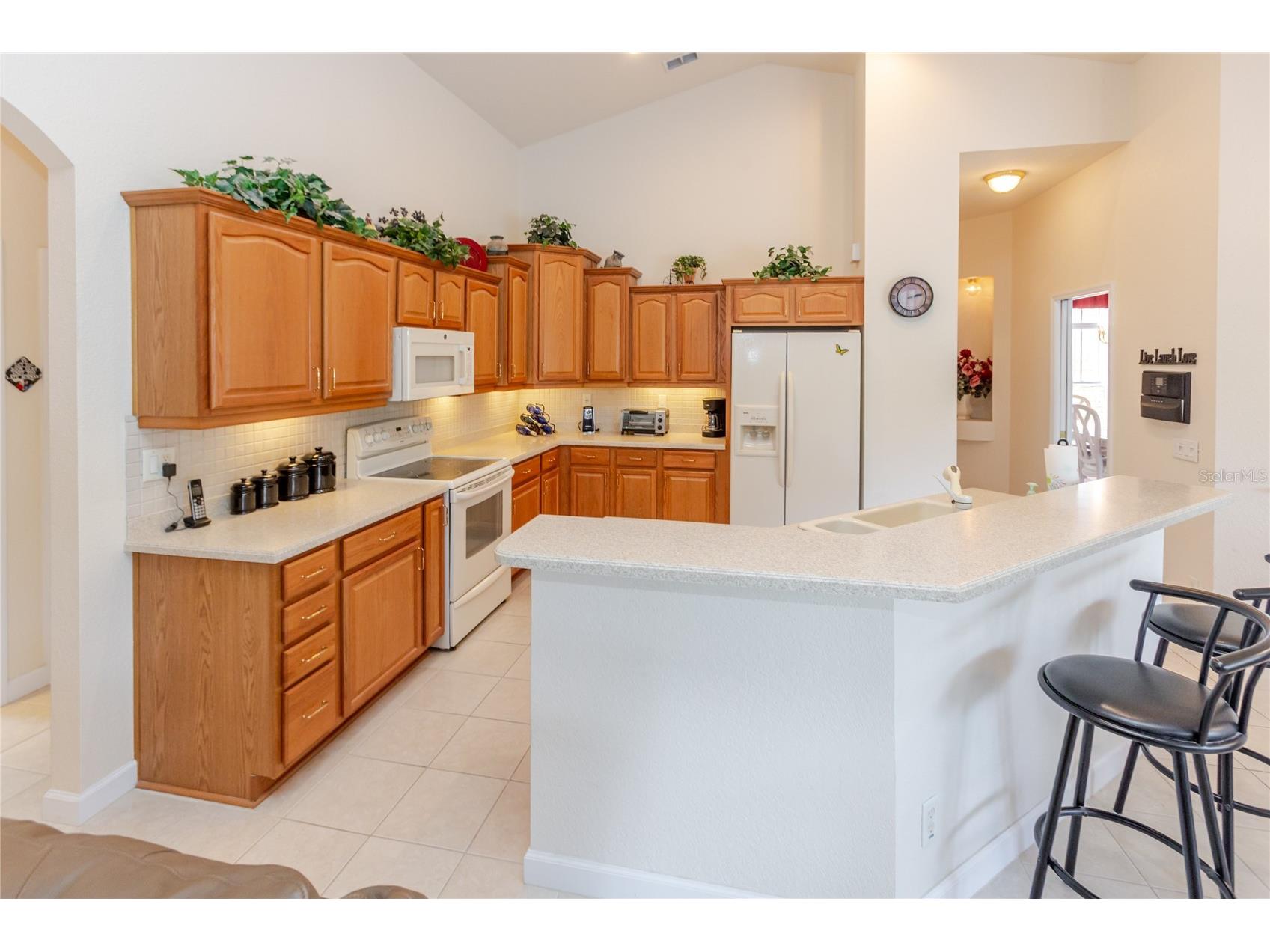 4072 Misty View Drive Spring Hill FL 34609 W7886049 image13