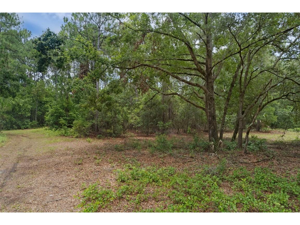 40742 Bridle Path Ln Leesburg FL 34788 G5099208 image41