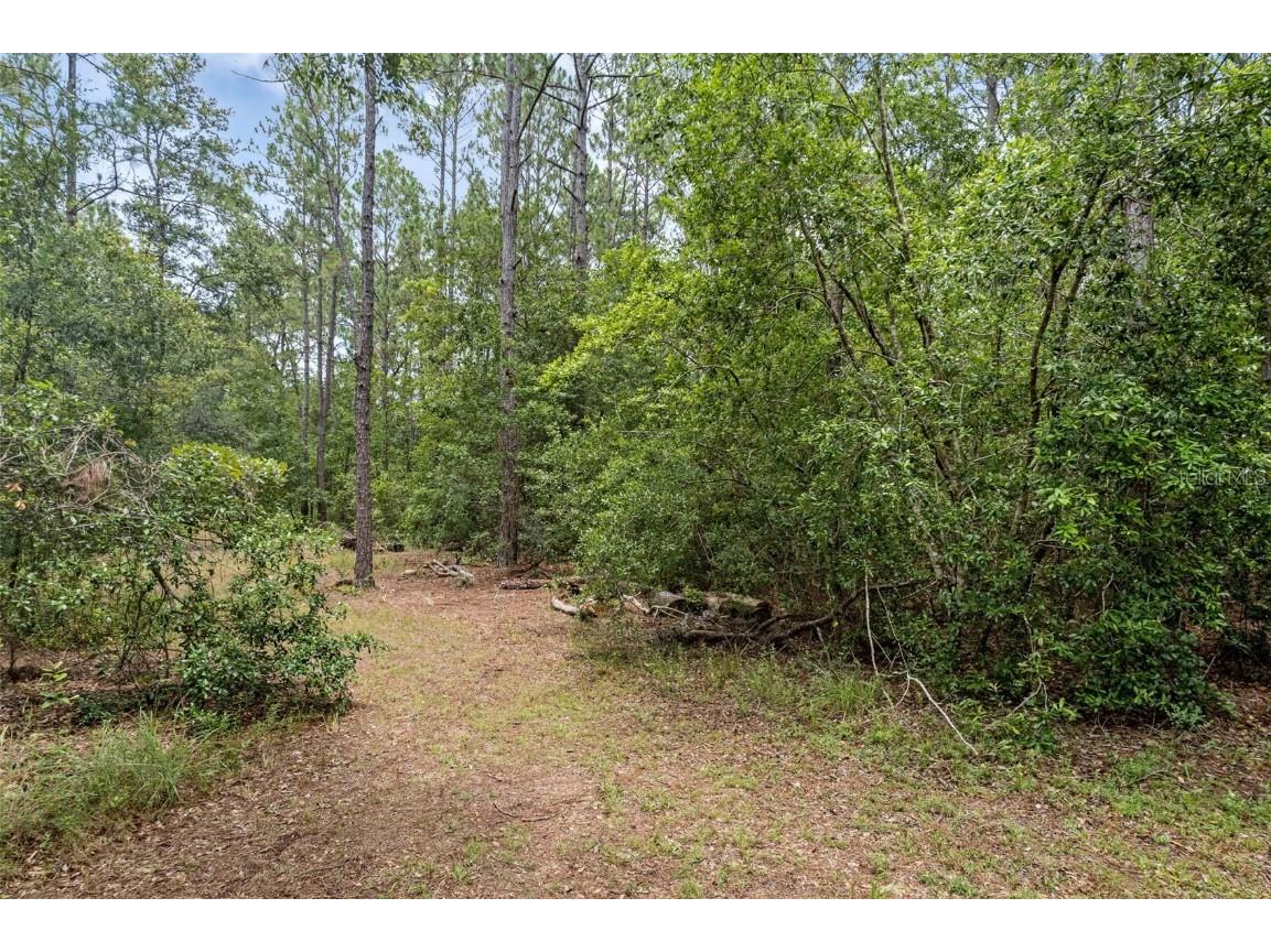 40742 Bridle Path Ln Leesburg FL 34788 G5099208 image42