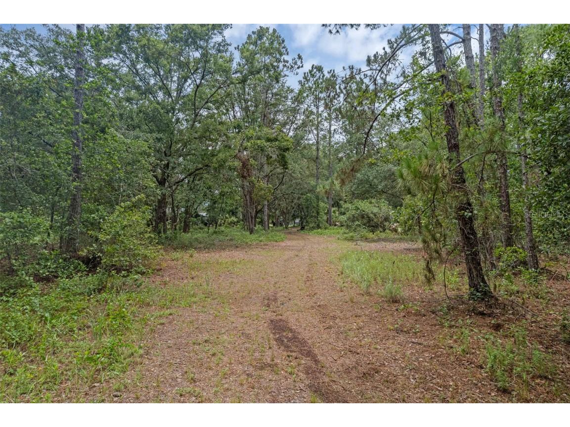 40742 Bridle Path Ln Leesburg FL 34788 G5099208 image43