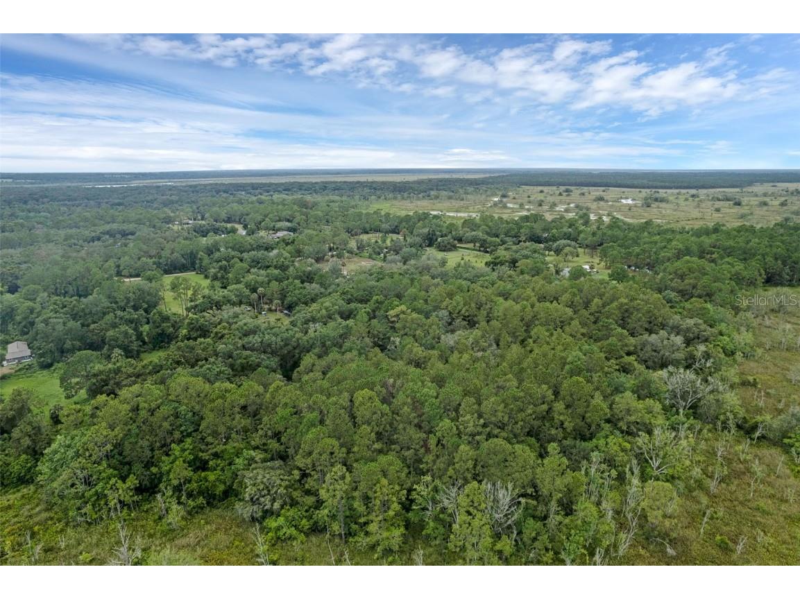 40742 Bridle Path Ln Leesburg FL 34788 G5099208 image45