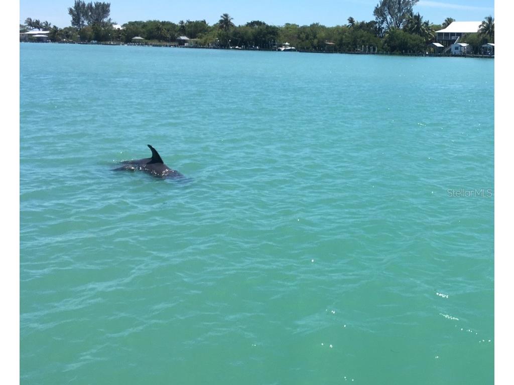 4075 Gillot Boulevard Port Charlotte FL 33981 C7464324 image4