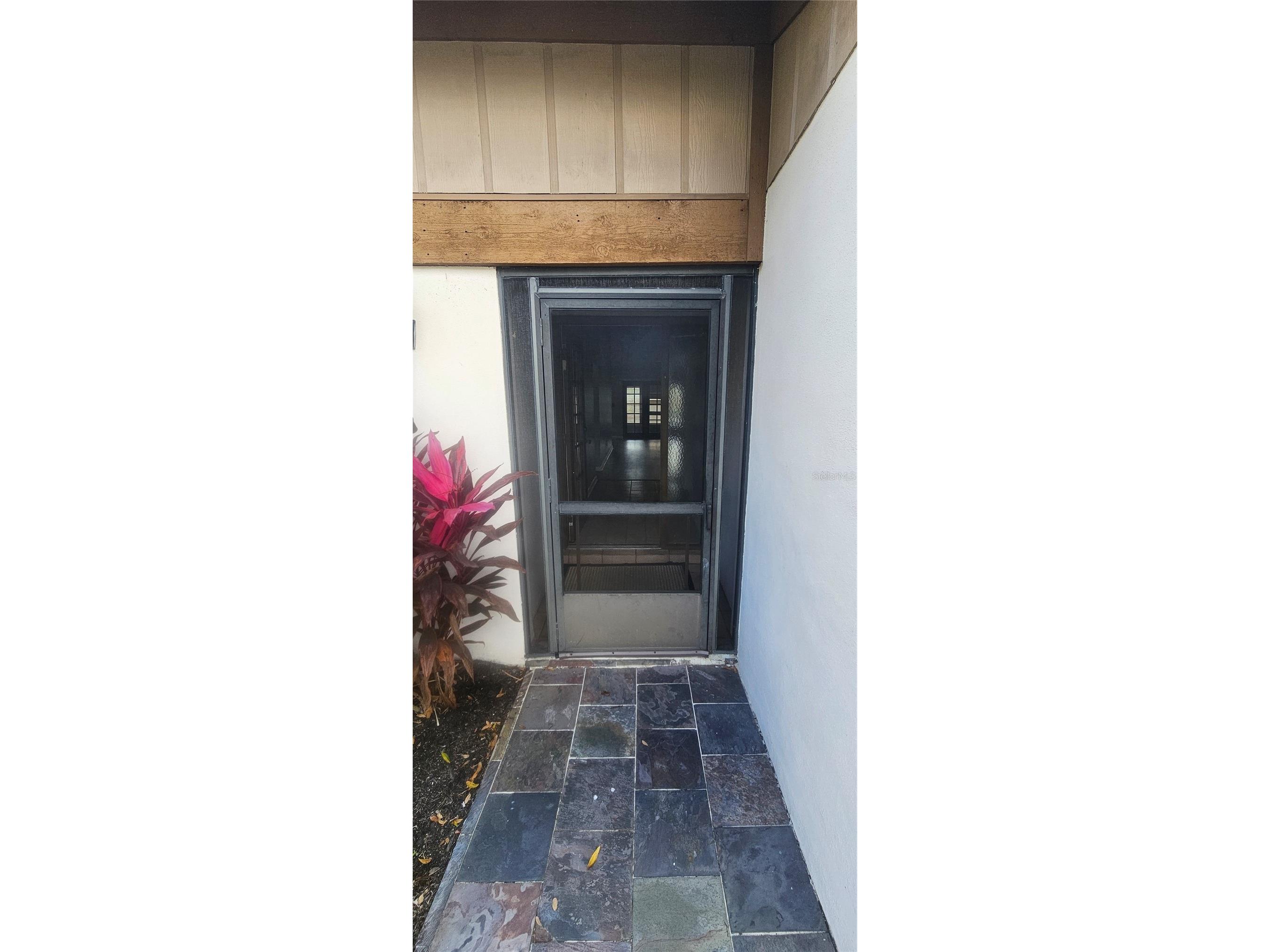 4075 Shoreside Circle Tampa FL 33624 O6387759 image4