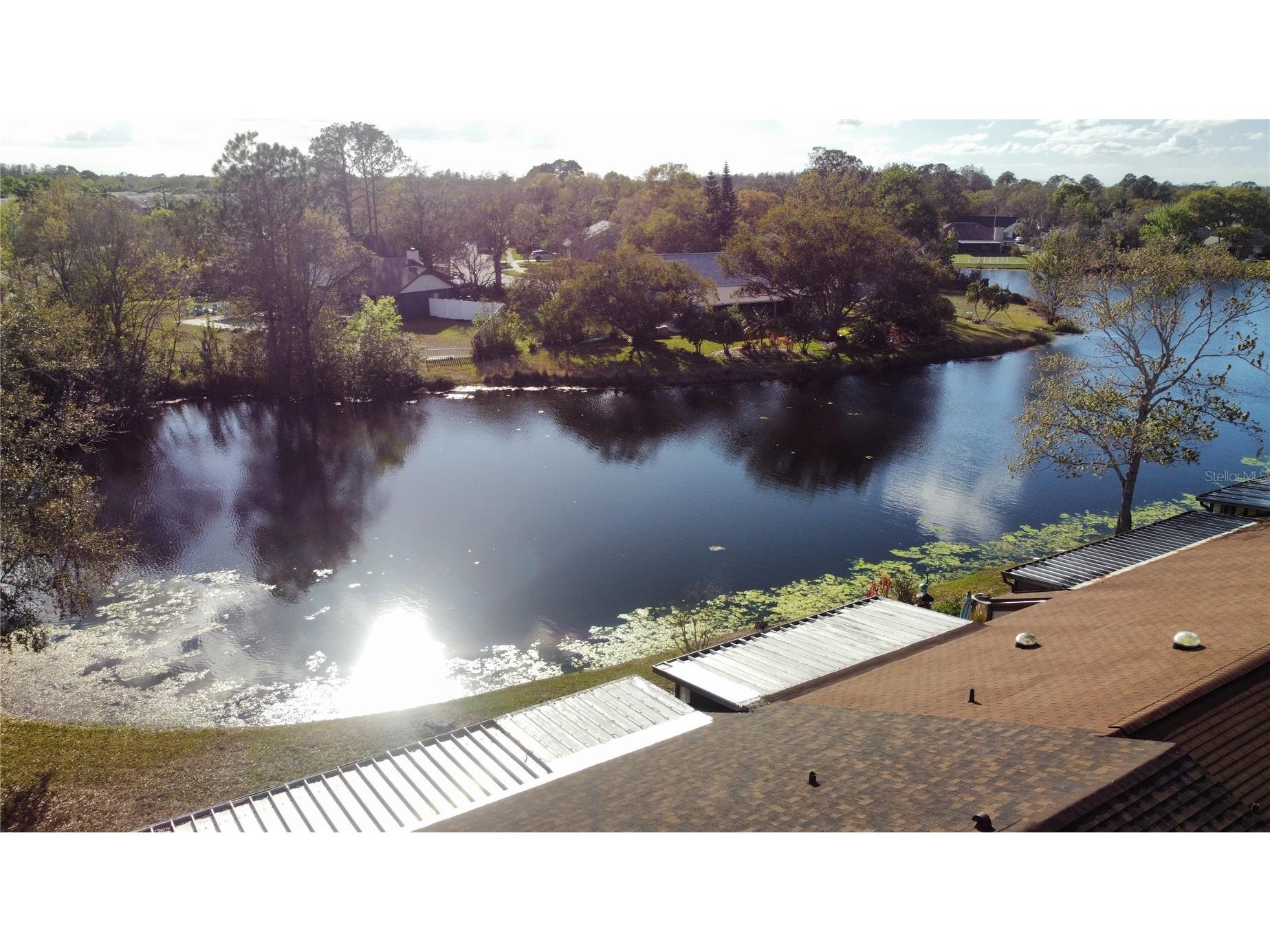 4075 Shoreside Circle Tampa FL 33624 O6387759 image41