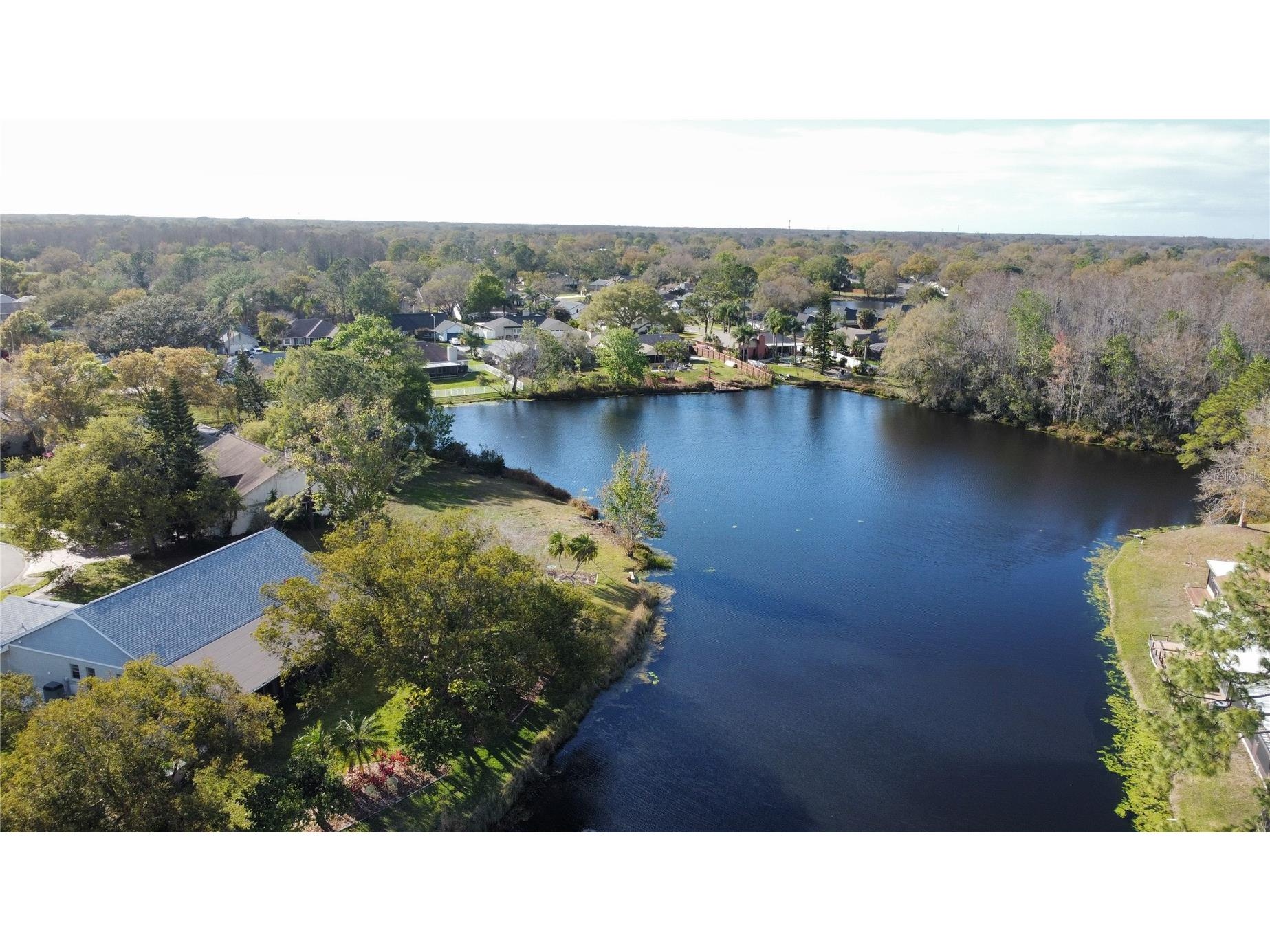 4075 Shoreside Circle Tampa FL 33624 O6387759 image42