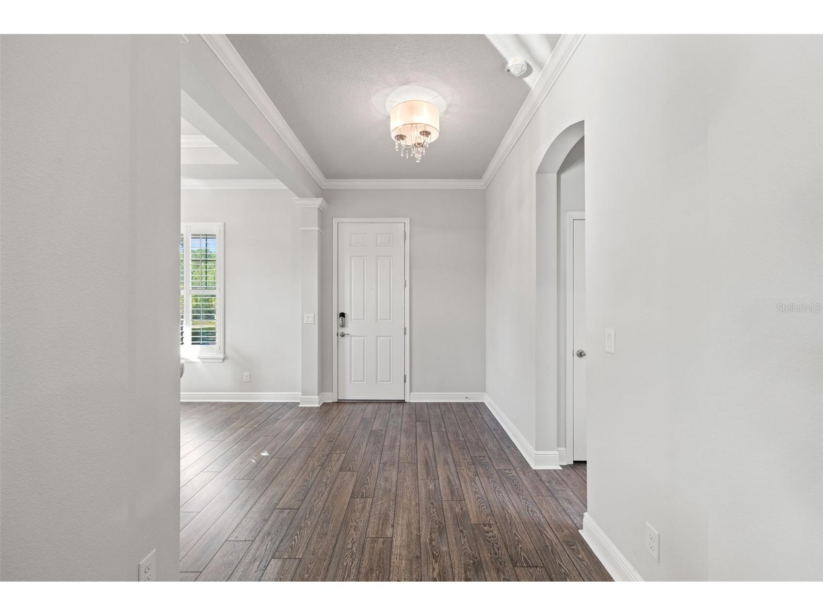 4077 Broad Porch Run Land O Lakes FL 34638 TB8504542 image11