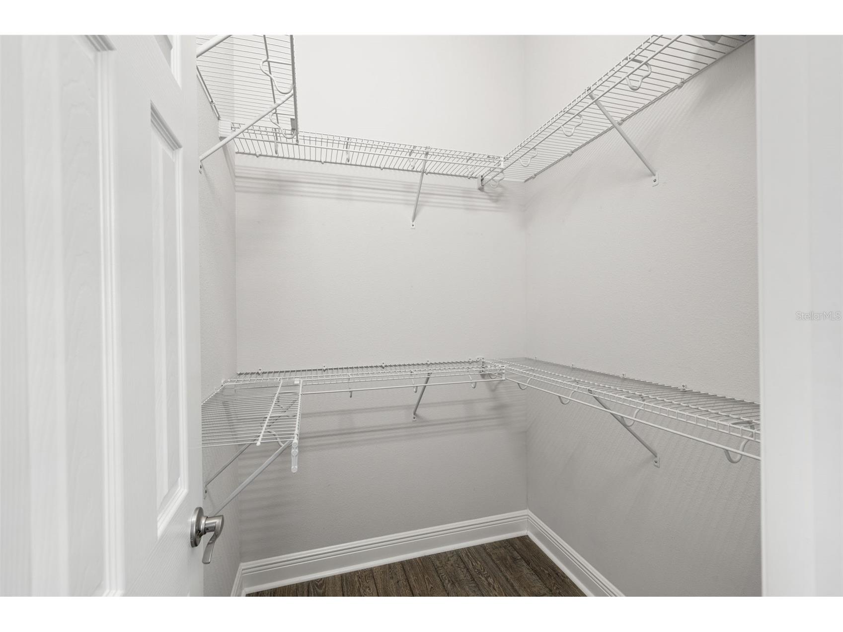 4077 Broad Porch Run Land O Lakes FL 34638 TB8504542 image36