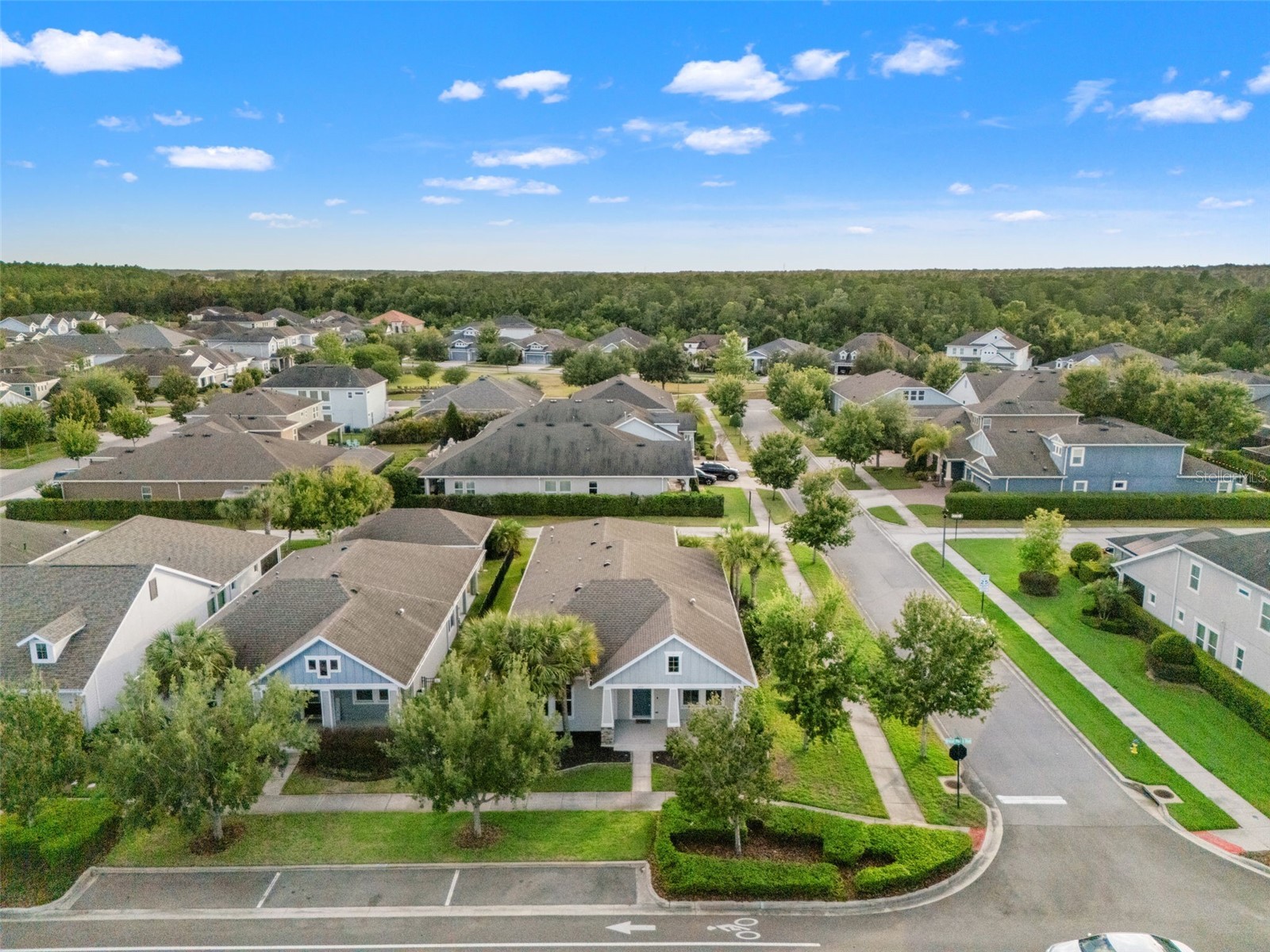 4077 Broad Porch Run Land O Lakes FL 34638 TB8504542 image49