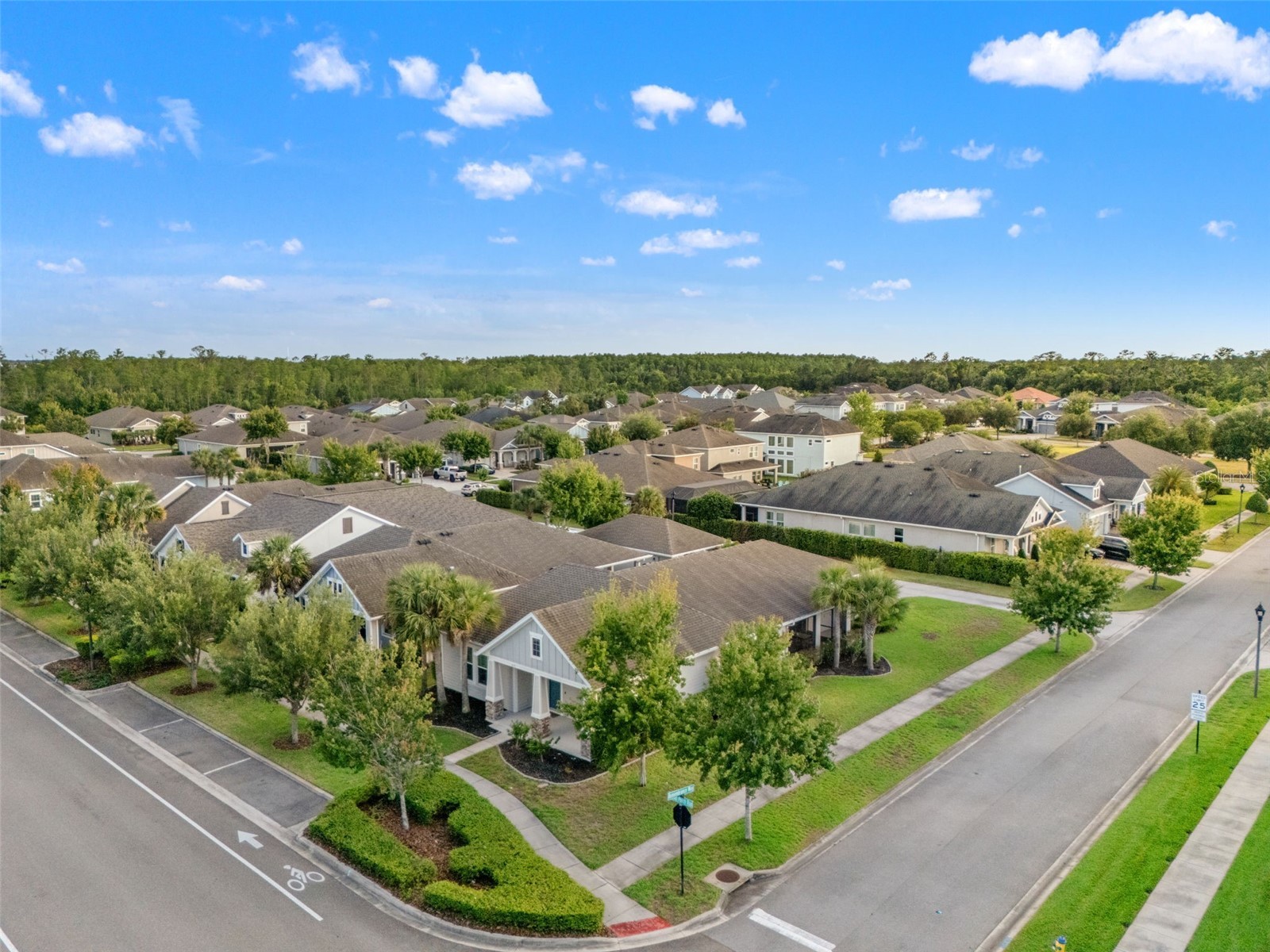 4077 Broad Porch Run Land O Lakes FL 34638 TB8504542 image50