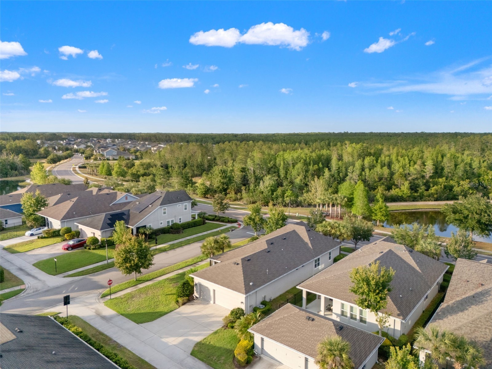 4077 Broad Porch Run Land O Lakes FL 34638 TB8504542 image52