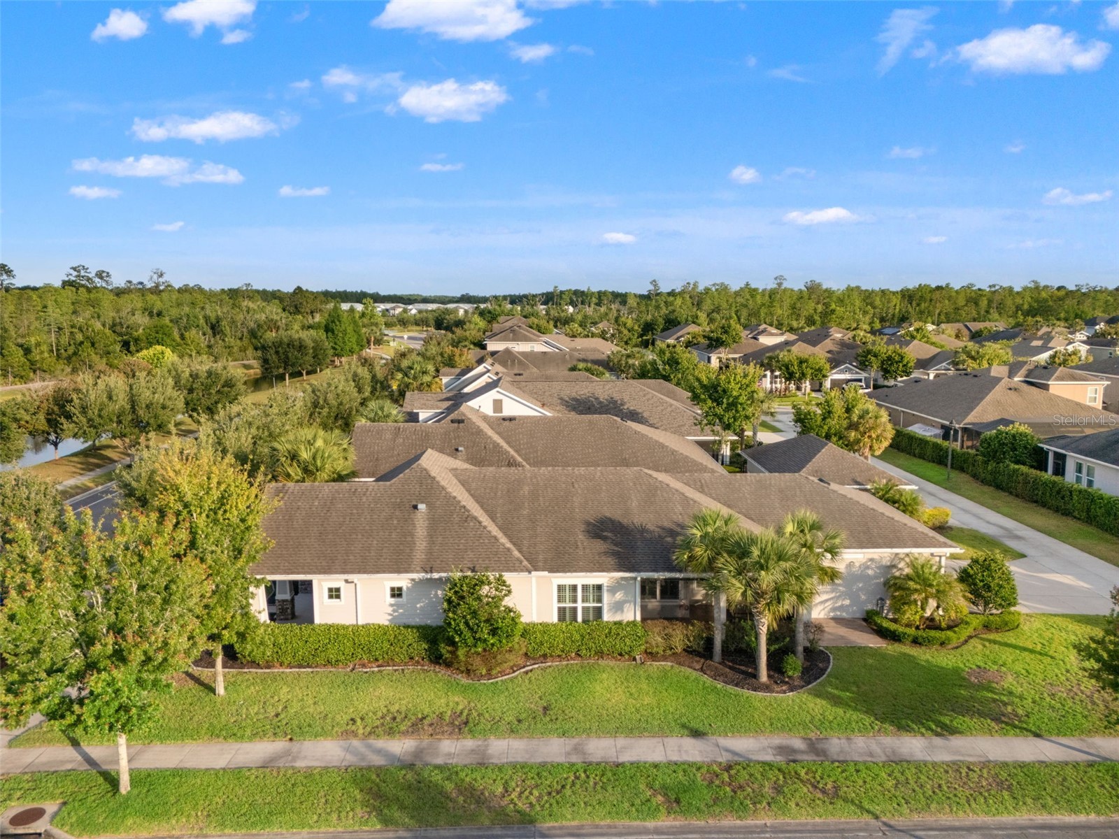 4077 Broad Porch Run Land O Lakes FL 34638 TB8504542 image56