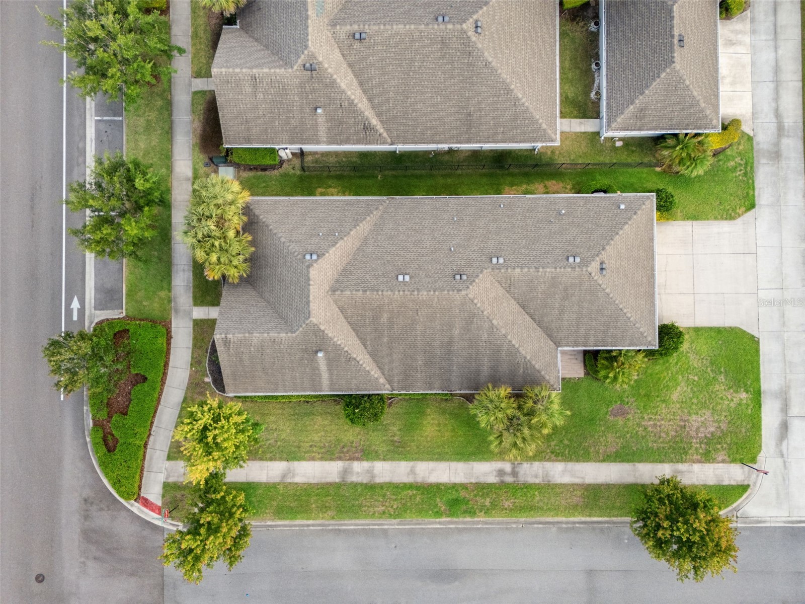 4077 Broad Porch Run Land O Lakes FL 34638 TB8504542 image57