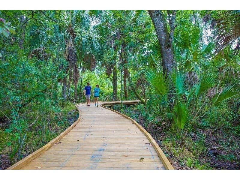 4077 Broad Porch Run Land O Lakes FL 34638 TB8504542 image59
